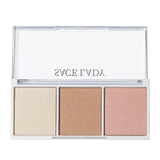 3 Color Blush high gloss repair plate