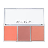 3 Color Blush high gloss repair plate