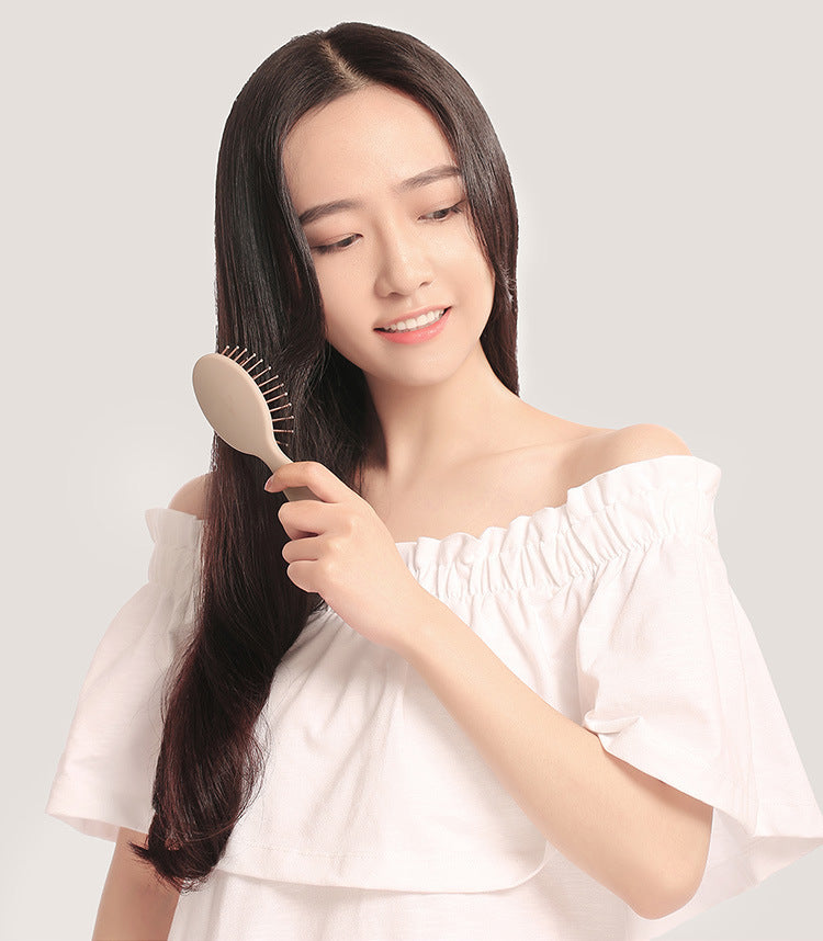 Portable Mini Wet And Dry Air Cushion Comb